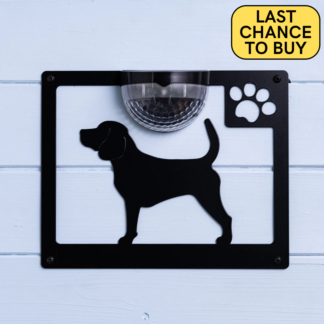 Beagle Dog Solar Light Wall Plaque - Image 12