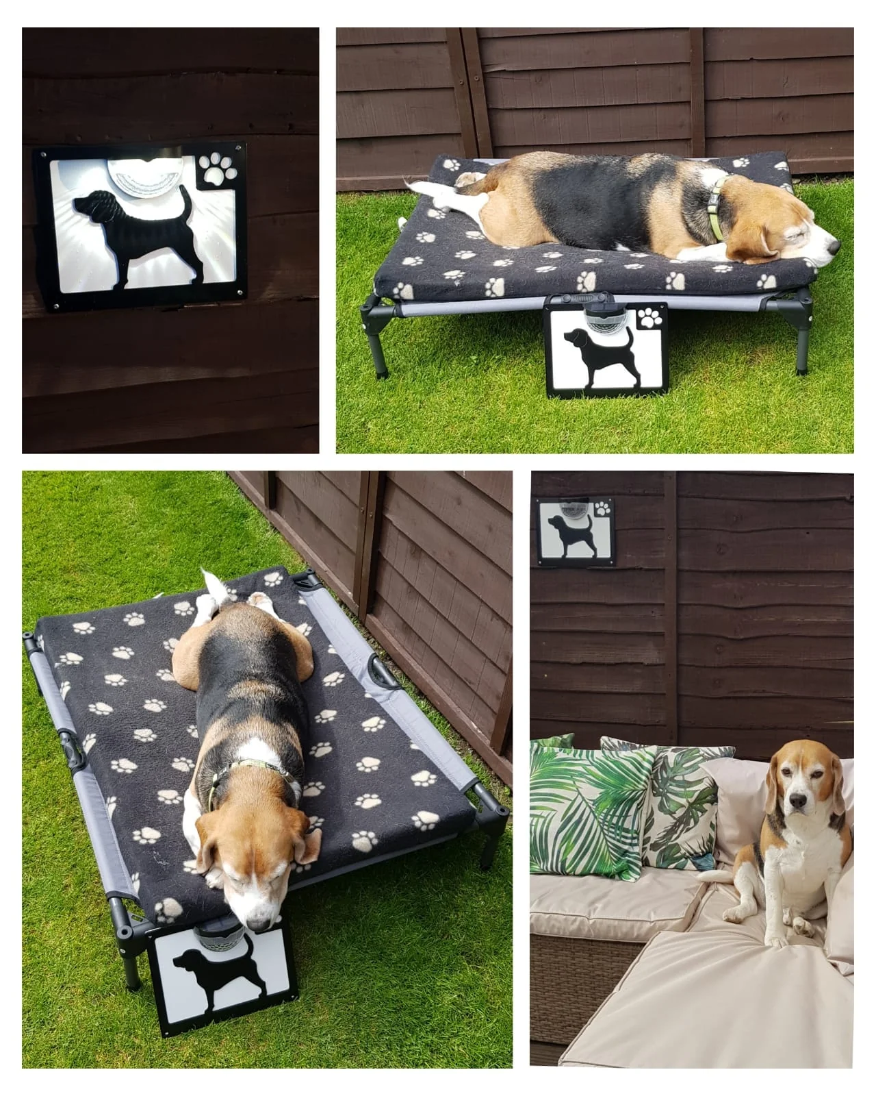 Beagle Dog Solar Light Wall Plaque - Image 9