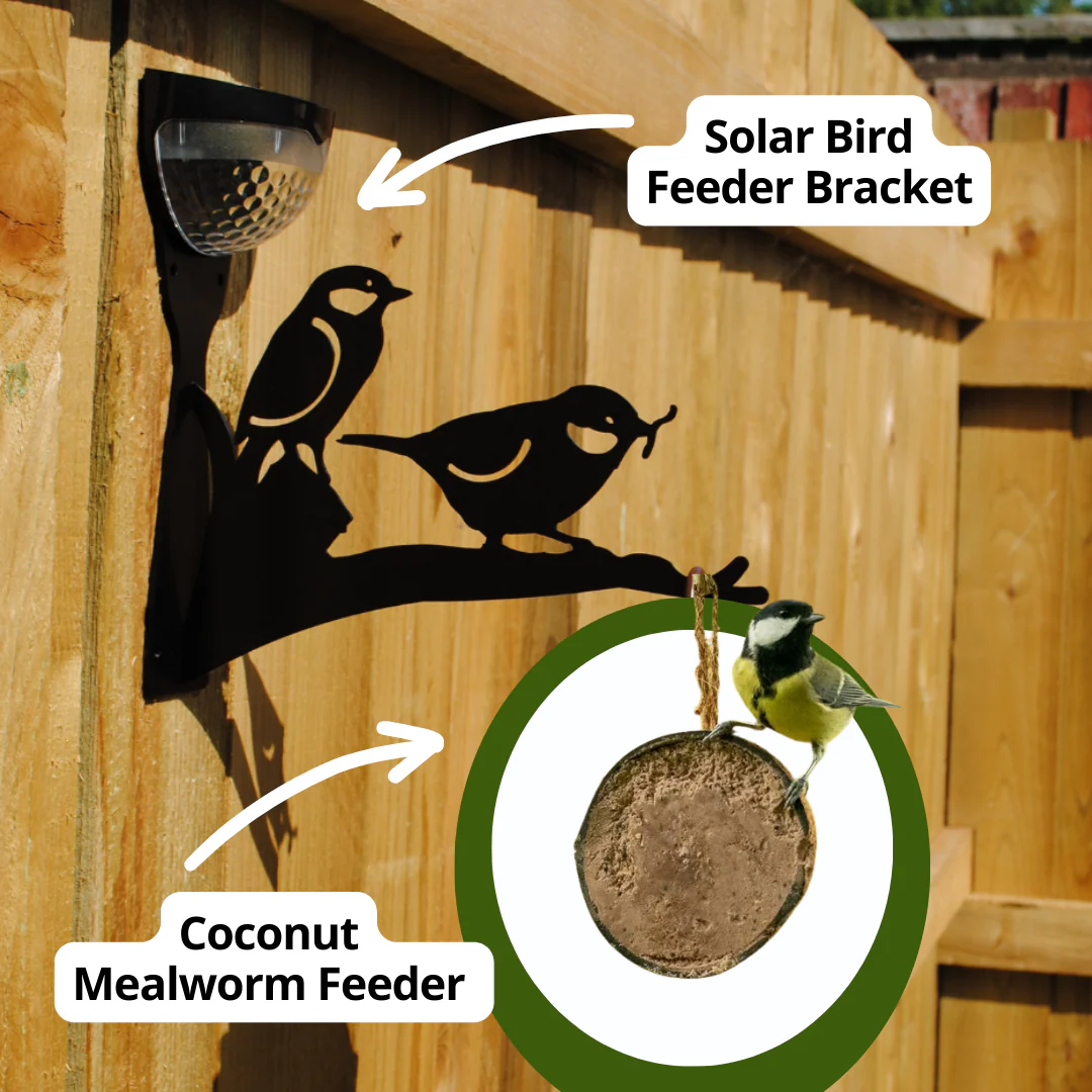 Solar Bird Feeder Starter Kit - Image 5