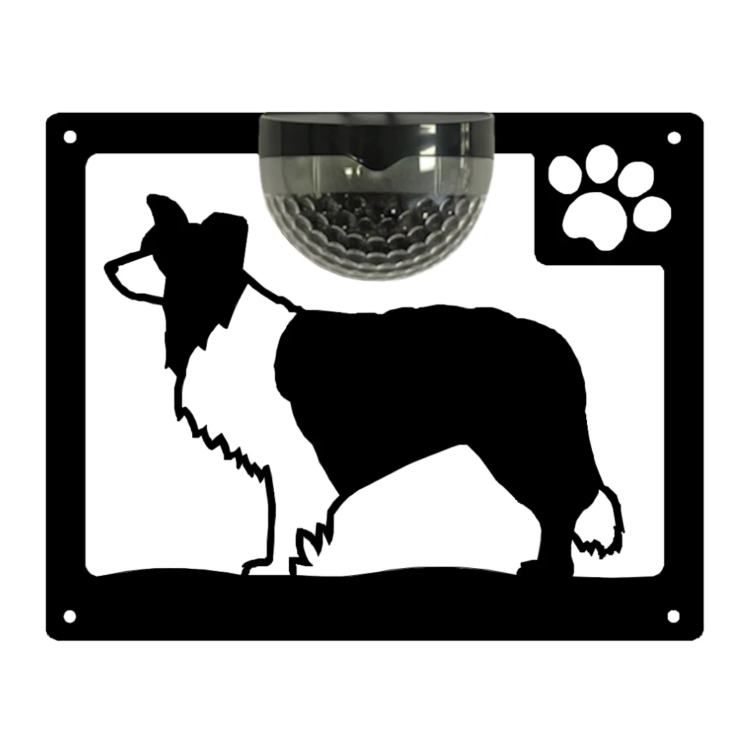 Border Collie Dog Solar Light Wall Plaque - Image 11