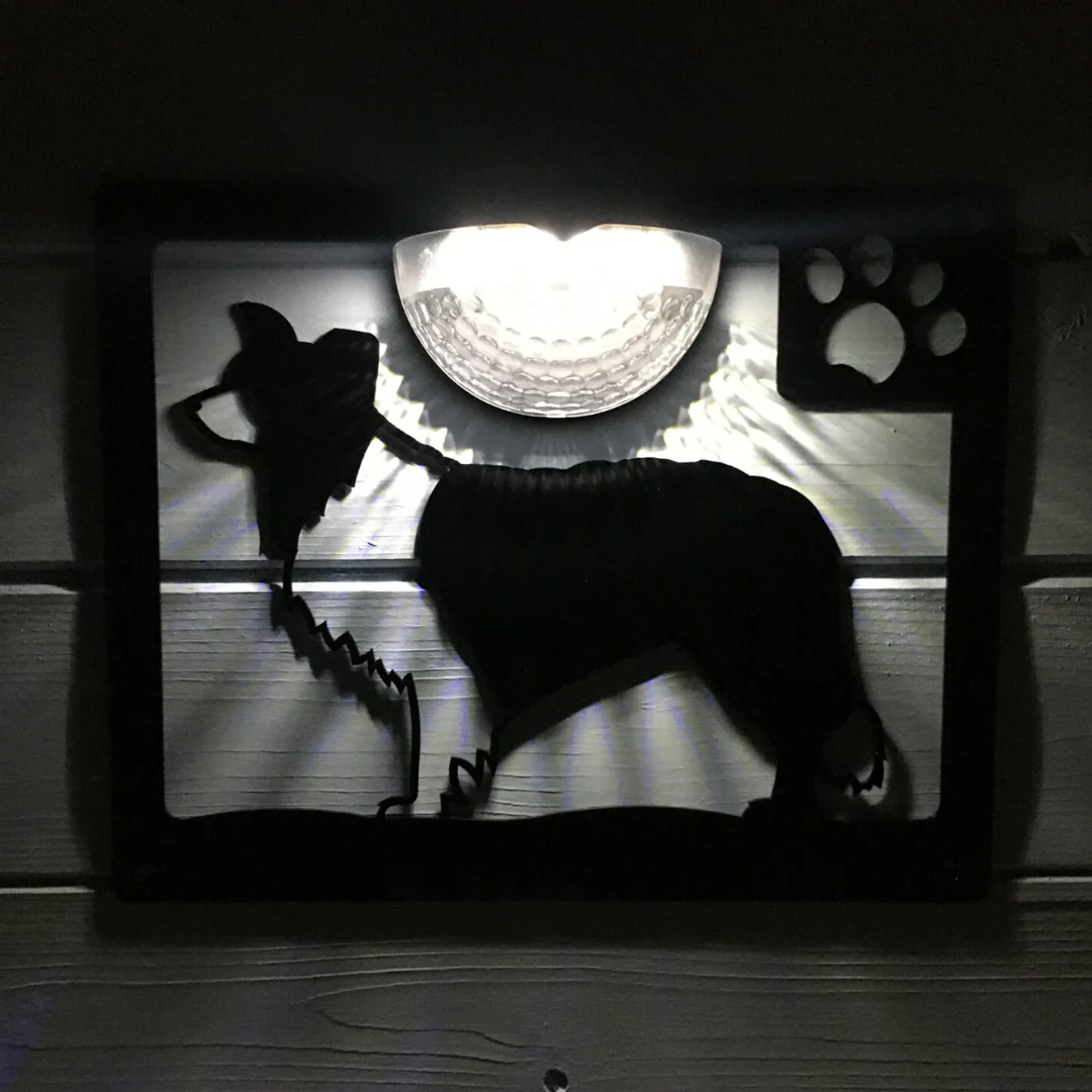 Border Collie Dog Solar Light Wall Plaque - Image 3