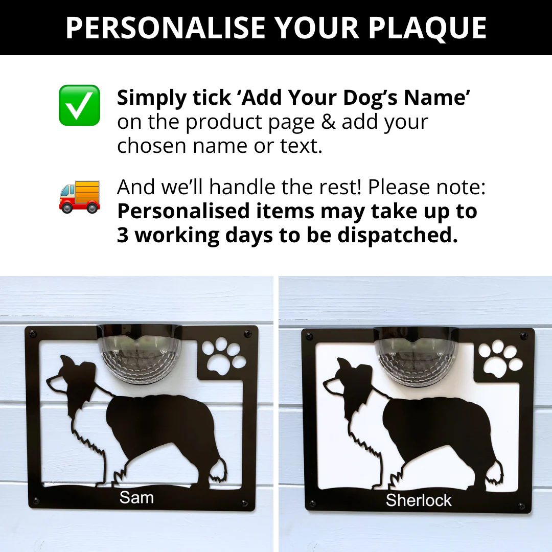 Border Collie Dog Solar Light Wall Plaque - Image 4