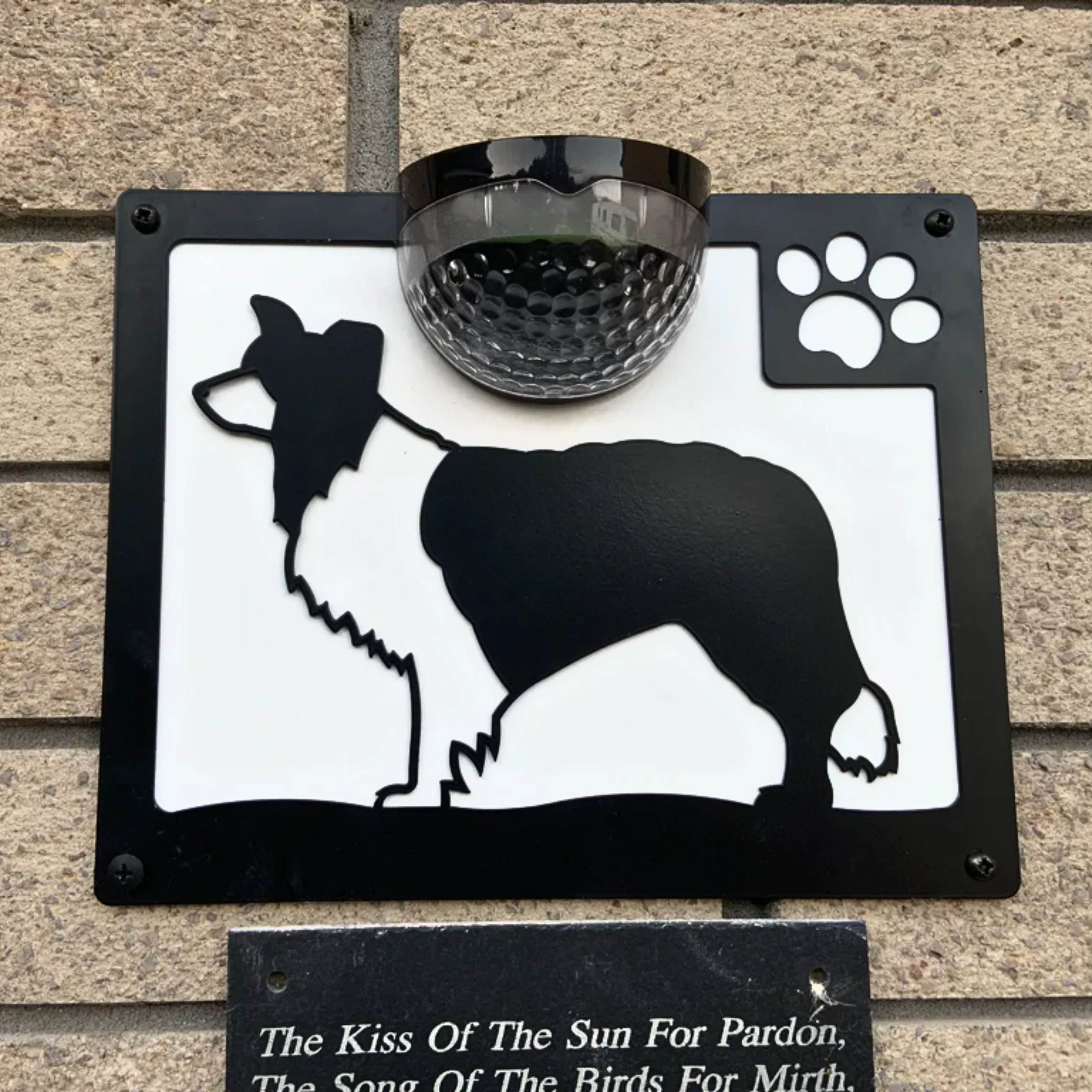 Border Collie Dog Solar Light Wall Plaque - Image 6