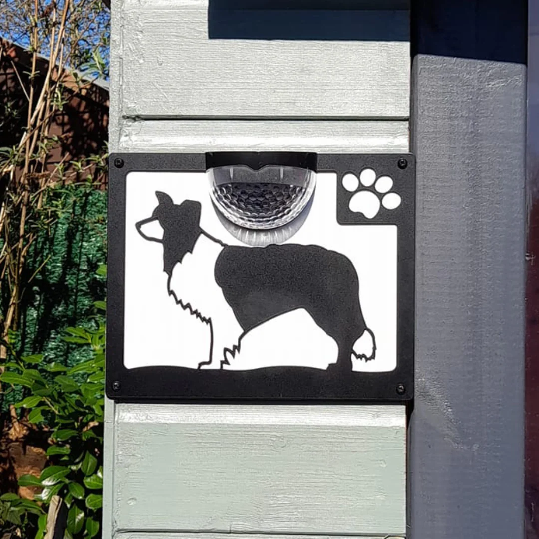 Border Collie Dog Solar Light Wall Plaque - Image 7