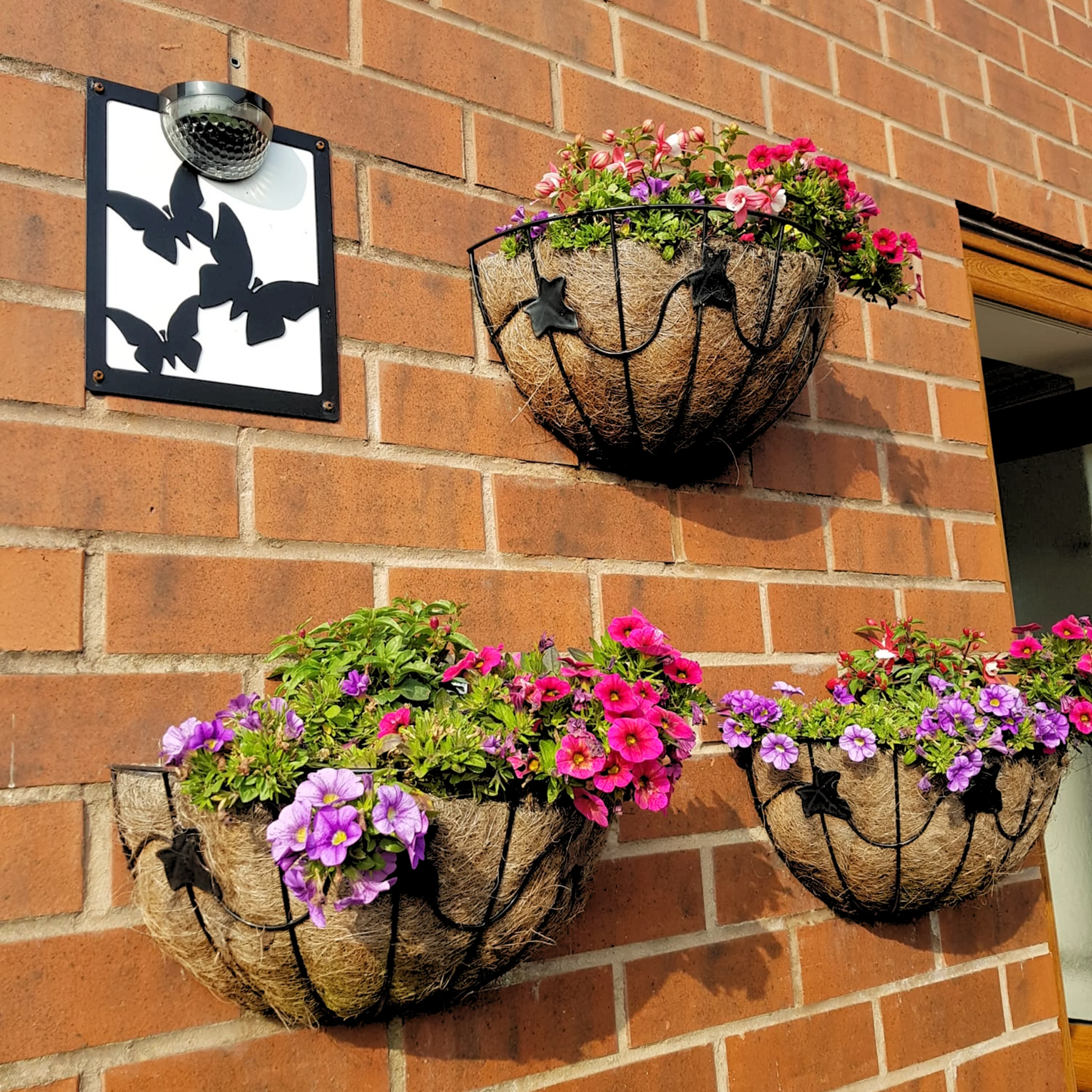 Butterfly Solar Light Wall Plaque - Image 5