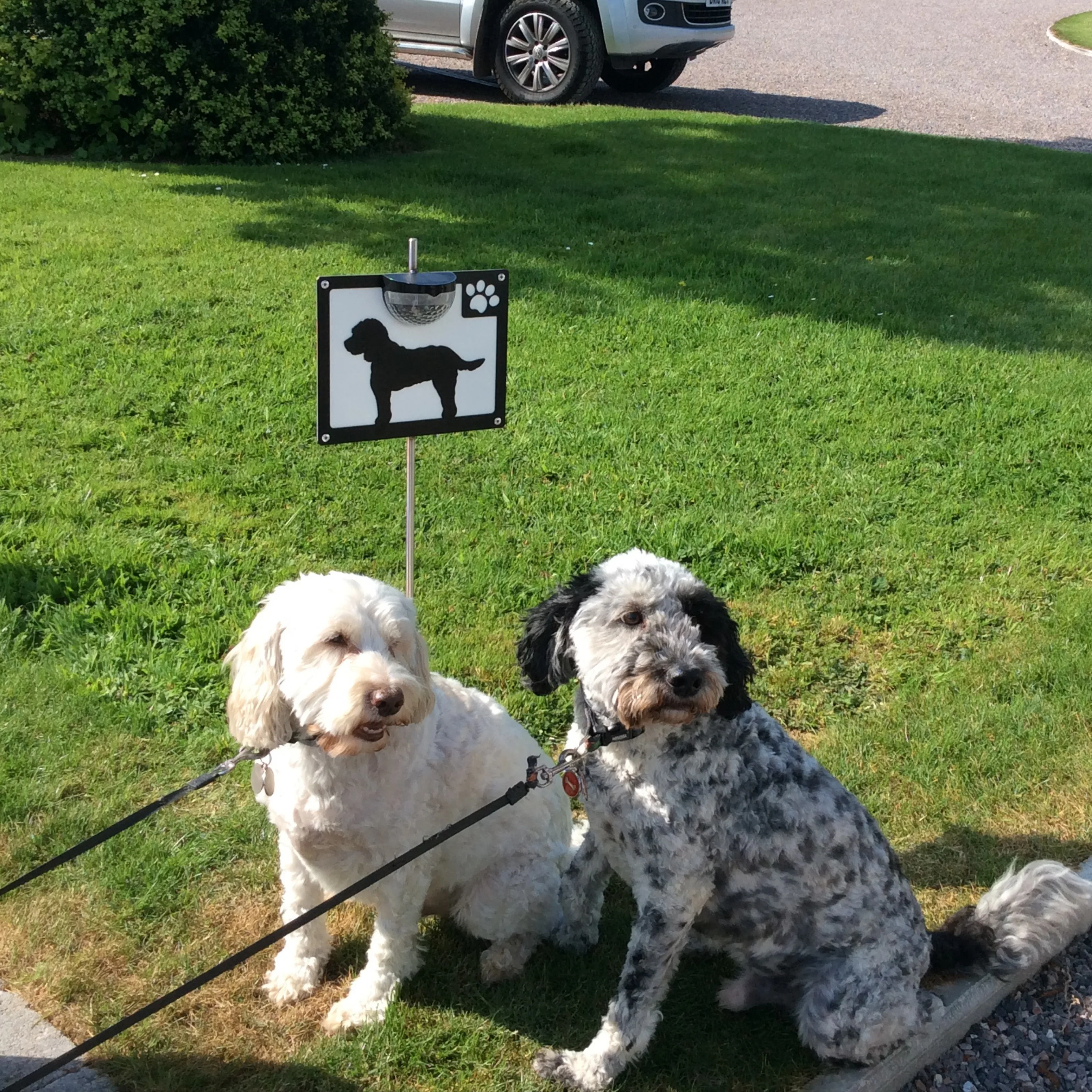 Cockapoo Dog Solar Light Wall Plaque - Image 8