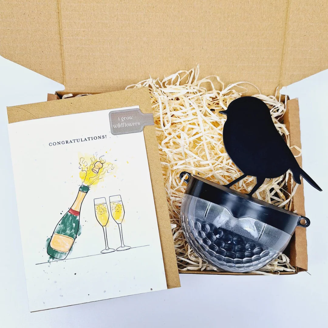 'Congratulations' Robin Gift Set