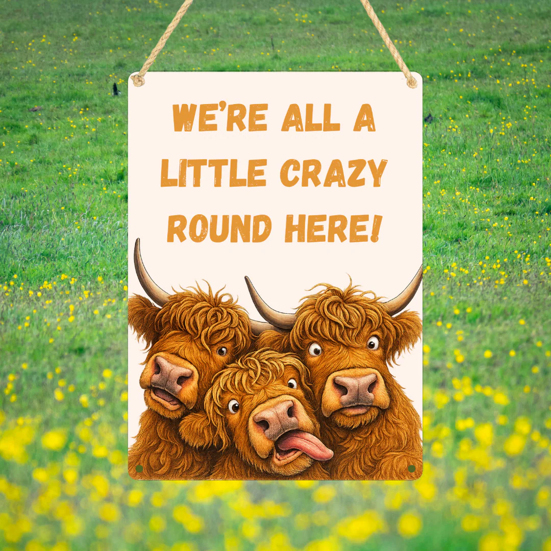 Highland Cow Metal Sign 25cm - Image 5