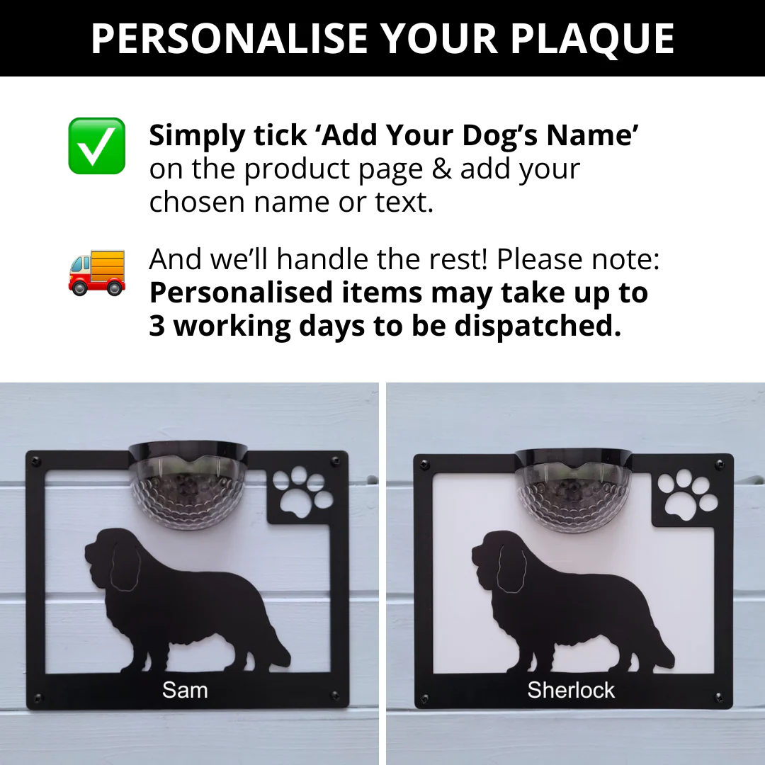 Cavalier King Charles Spaniel Dog Solar Light Wall Plaque - Image 5