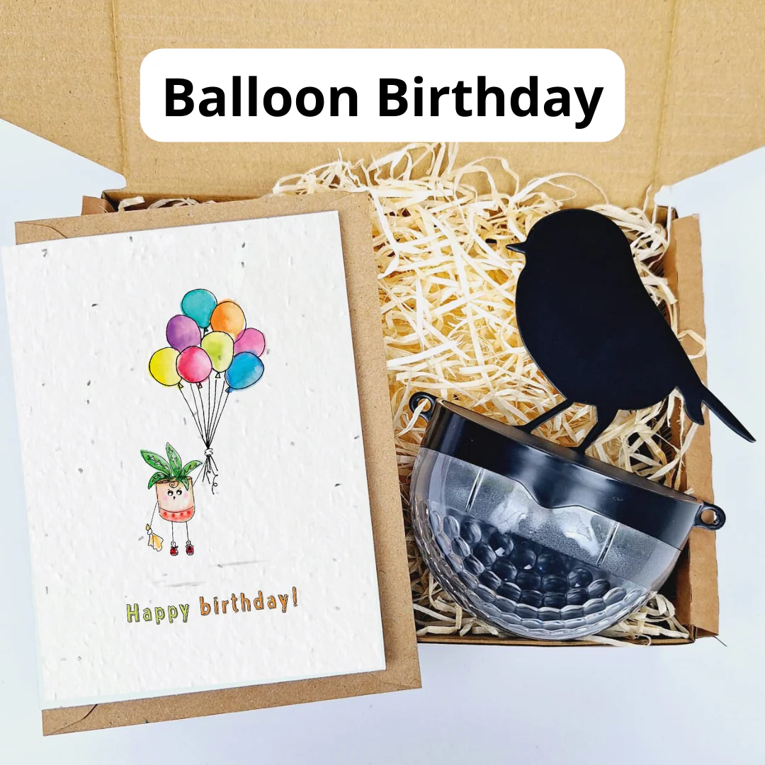 Plantable Card Robin Gift Sets- choose from 6 cards - Image 10