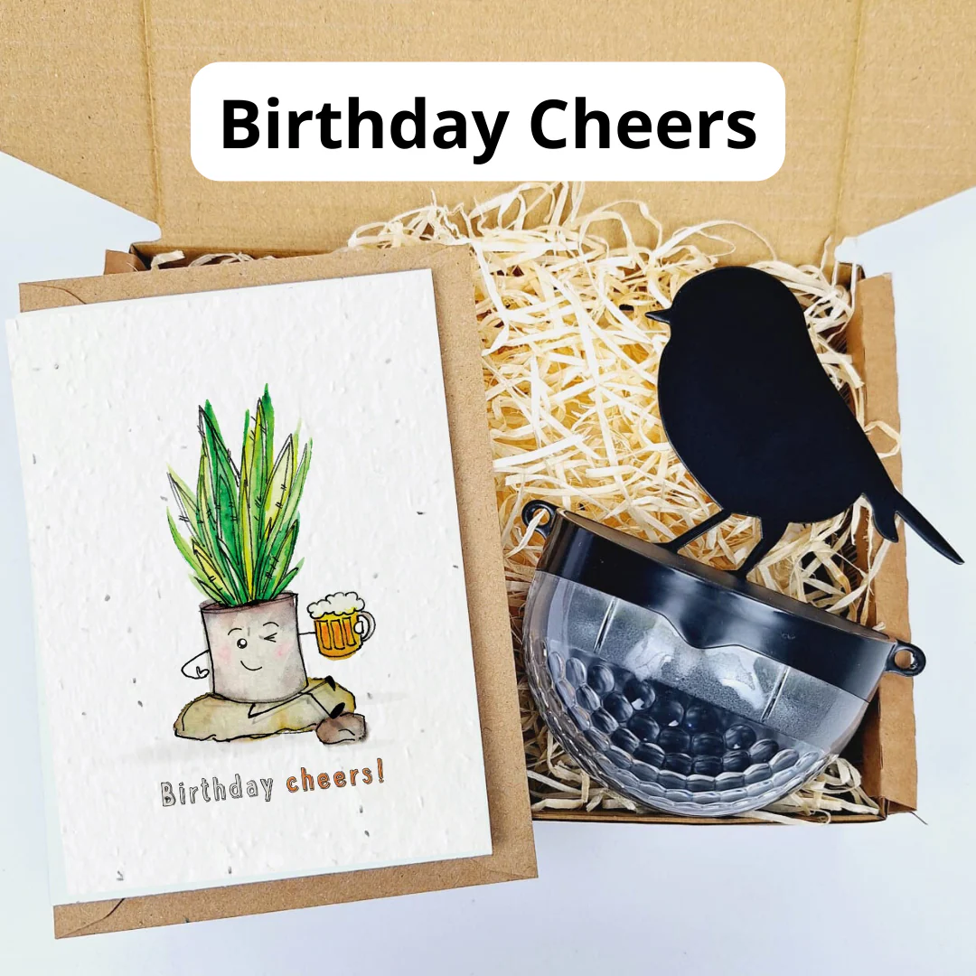 Plantable Card Robin Gift Sets- choose from 6 cards - Image 11