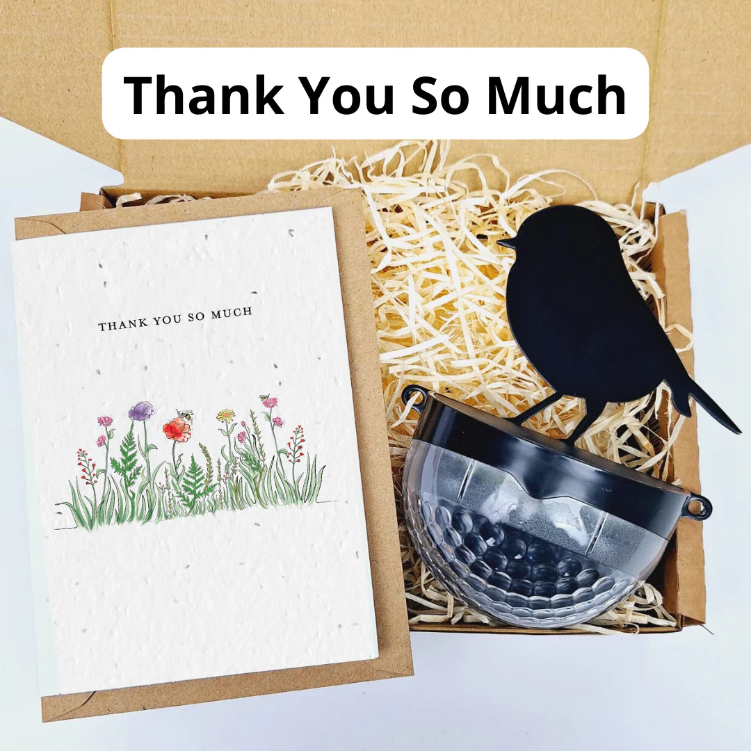 Plantable Card Robin Gift Sets- choose from 6 cards - Image 13