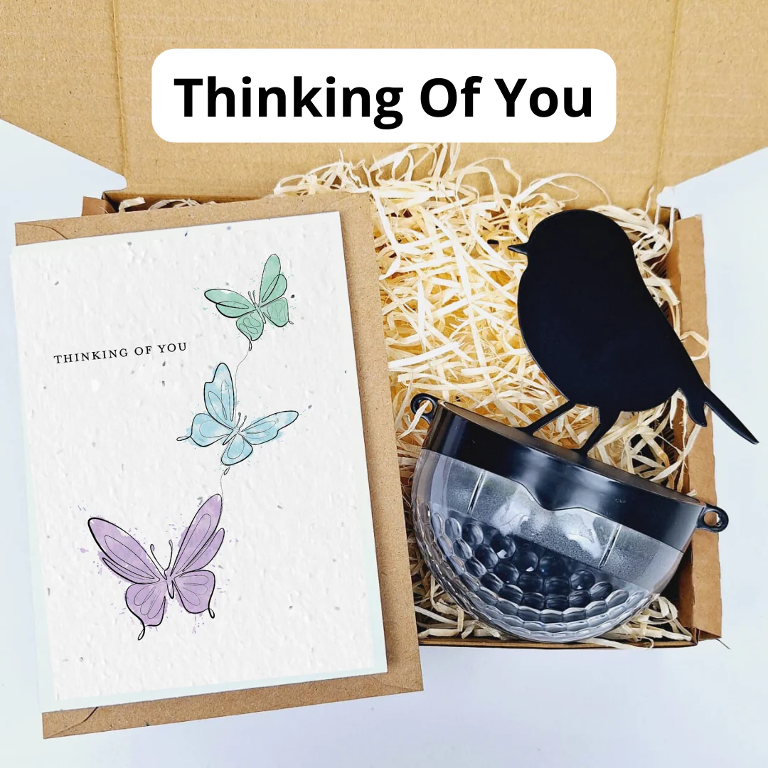 Plantable Card Robin Gift Sets- choose from 6 cards - Image 14