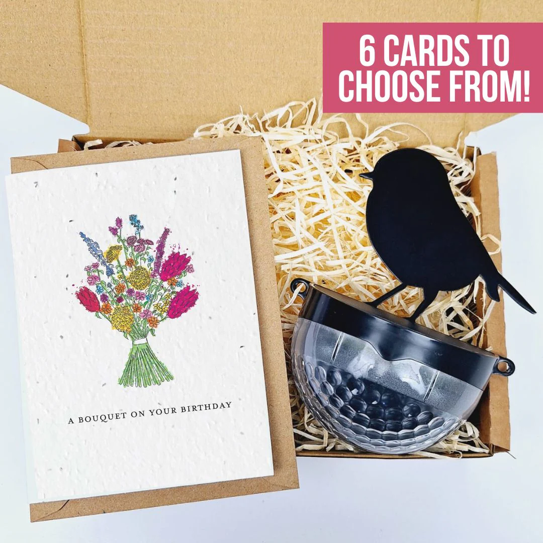 Plantable Card Robin Gift Sets- choose from 6 cards - Image 15