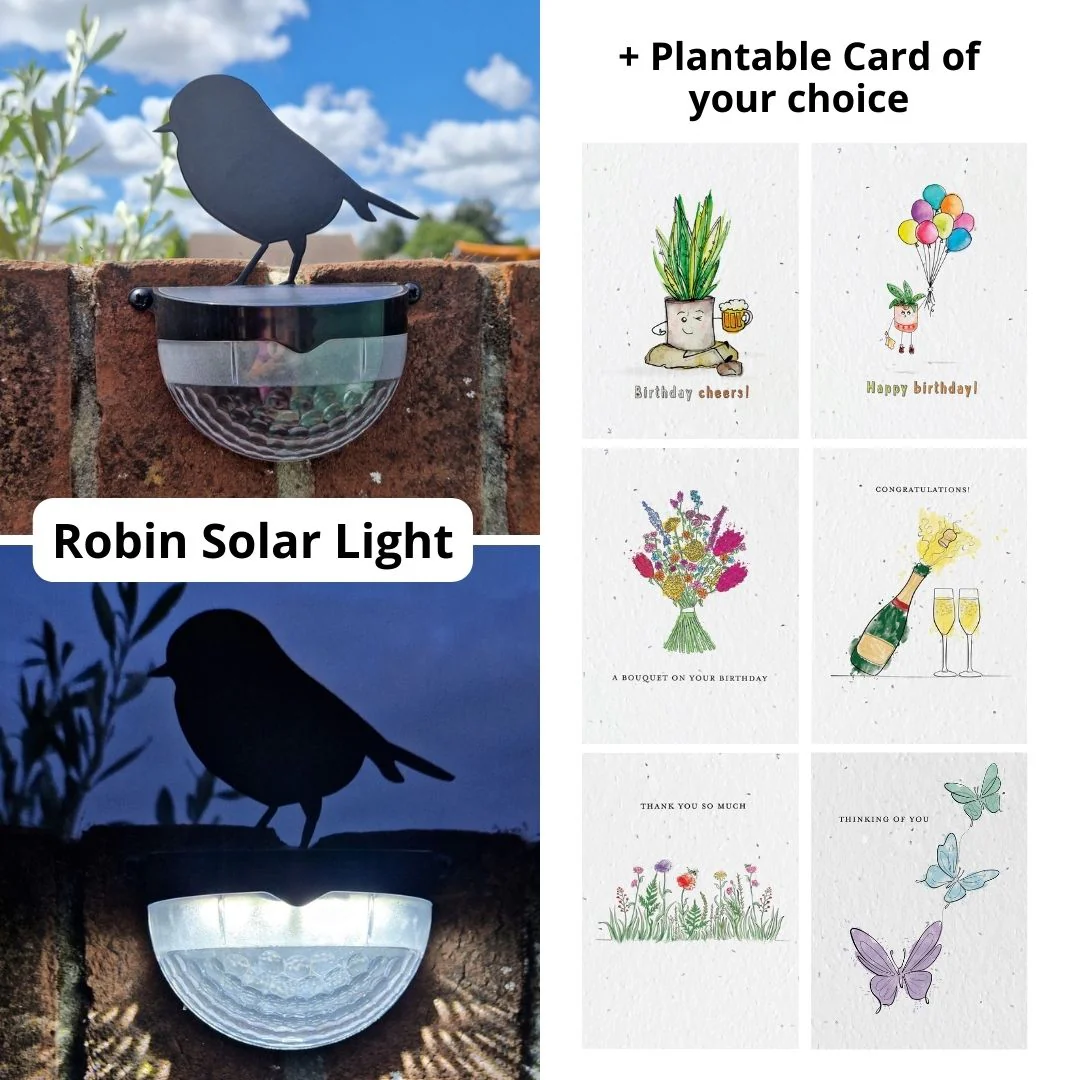 Plantable Card Robin Gift Sets- choose from 6 cards - Image 4