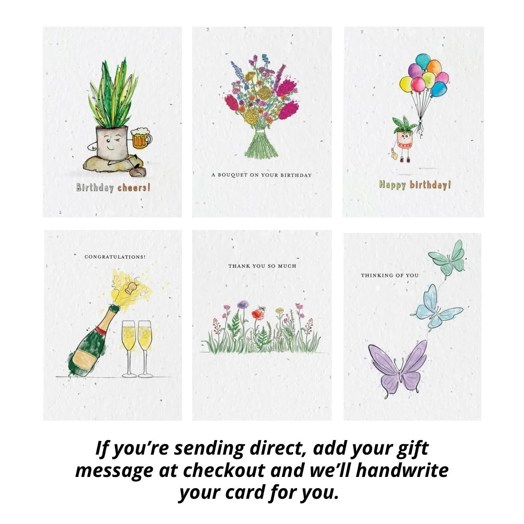 Plantable Card Robin Gift Sets- choose from 6 cards - Image 5