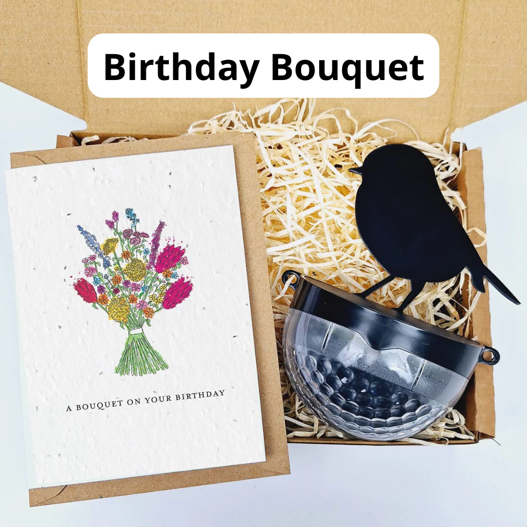 Plantable Card Robin Gift Sets- choose from 6 cards - Image 9