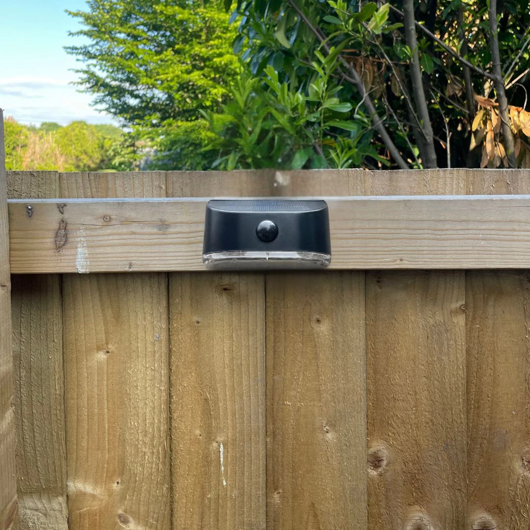 Motion-Sensor Solar Lights (Exclusive to Flory’s) - Image 12