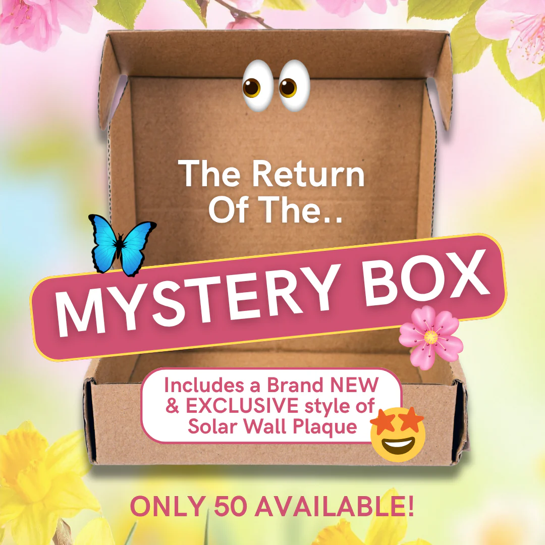 The Spring Garden Mystery Box