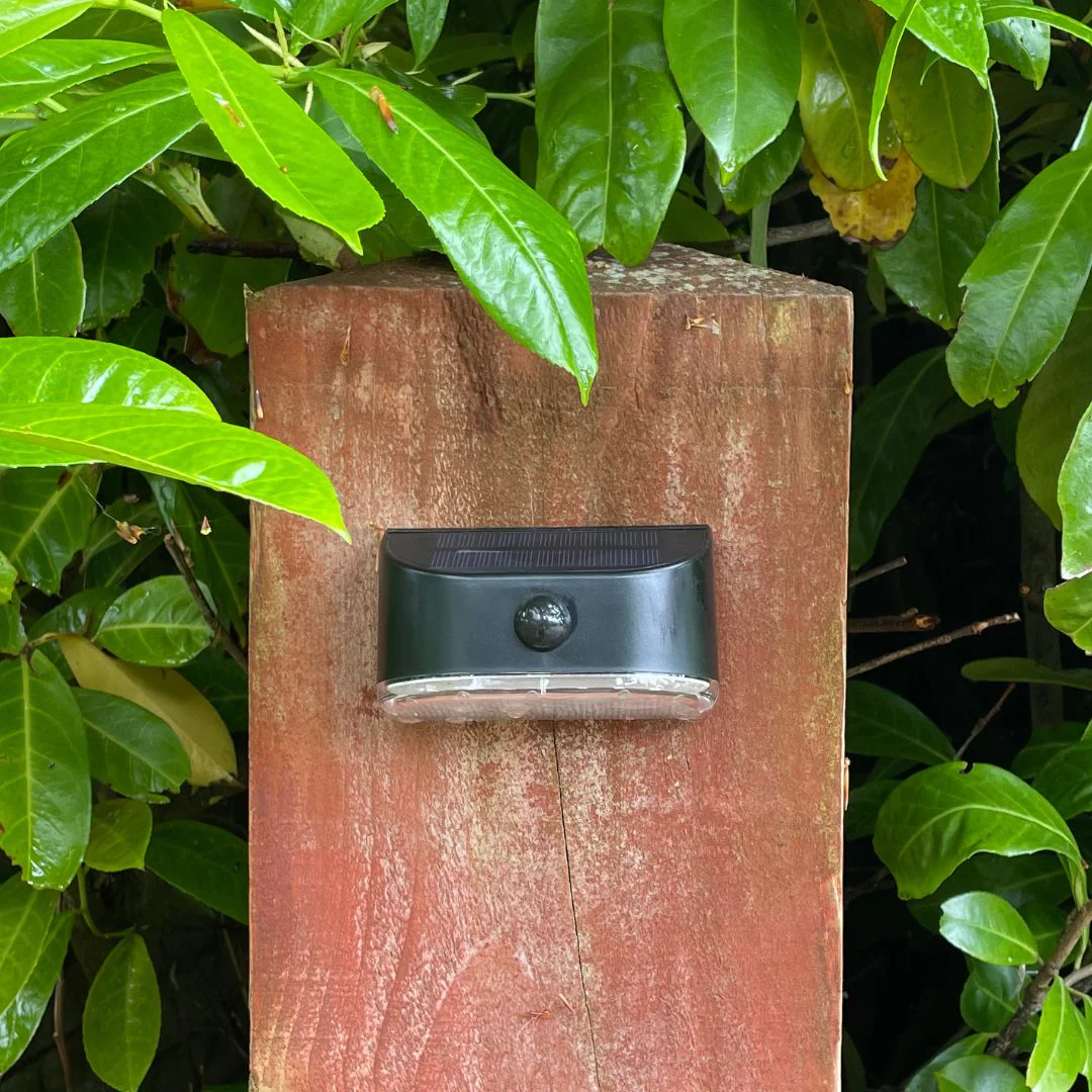 Motion-Sensor Solar Lights (Exclusive to Flory’s) - Image 5