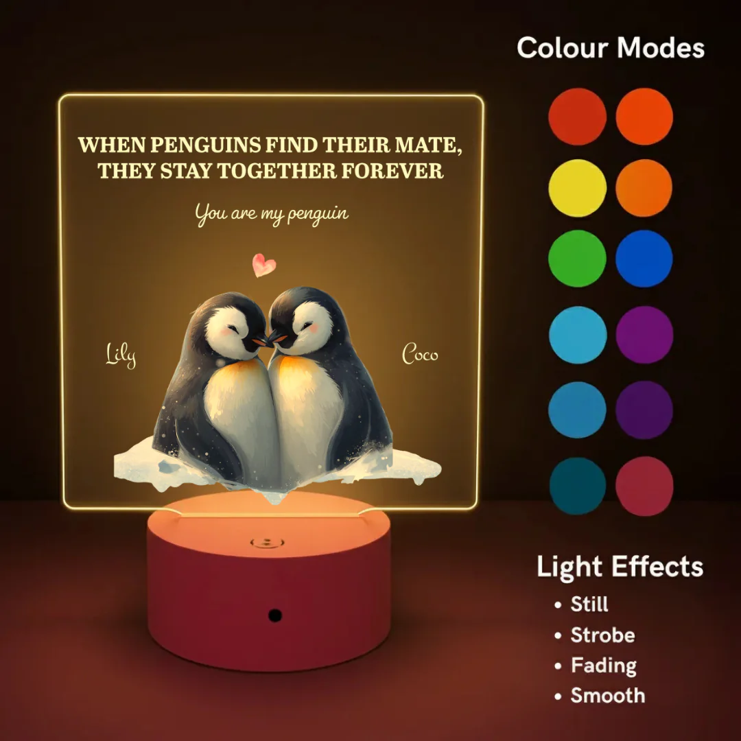 Penguin Couple LED Night Light (You Can Personalise Me!) - Image 3