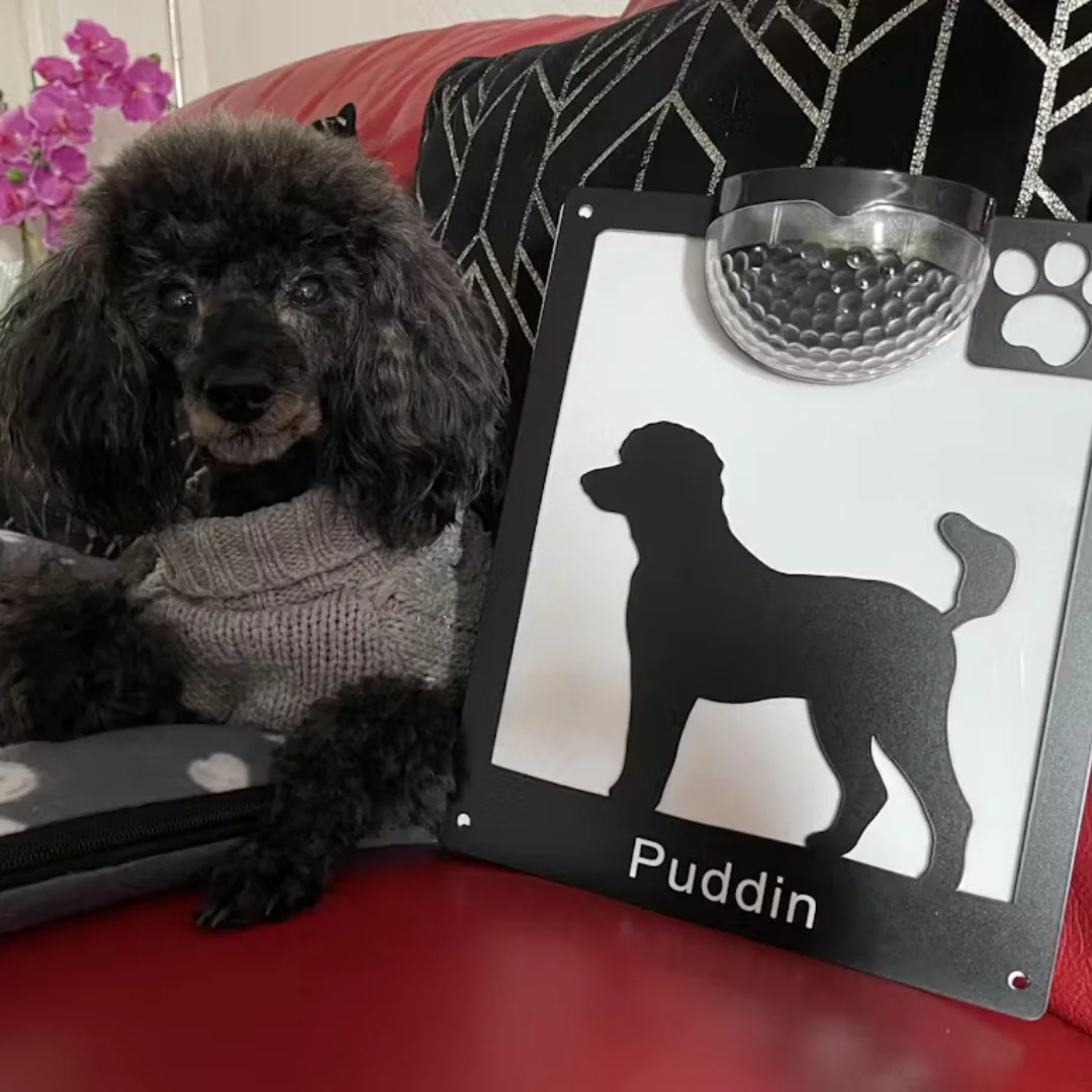Poodle Dog Solar Light Wall Plaque - Image 11
