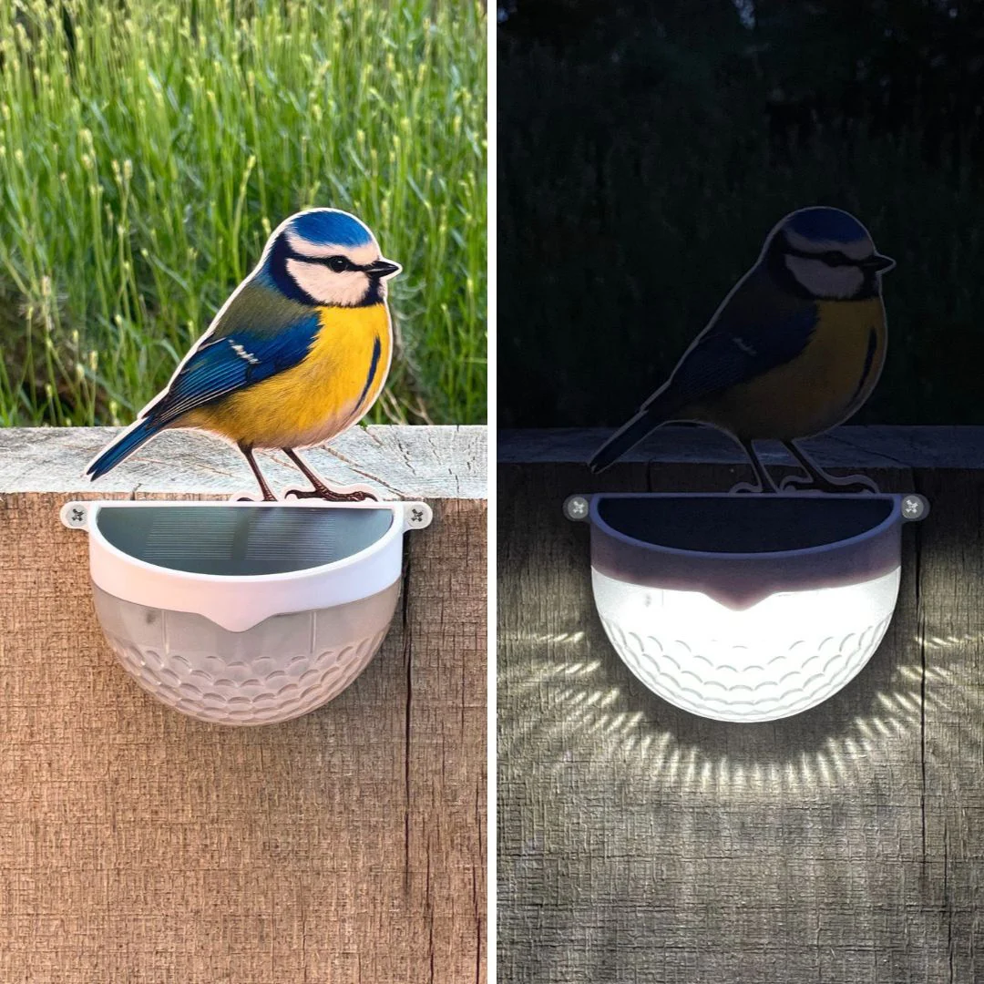 Real Blue Tit Solar Powered LED Light - Image 3
