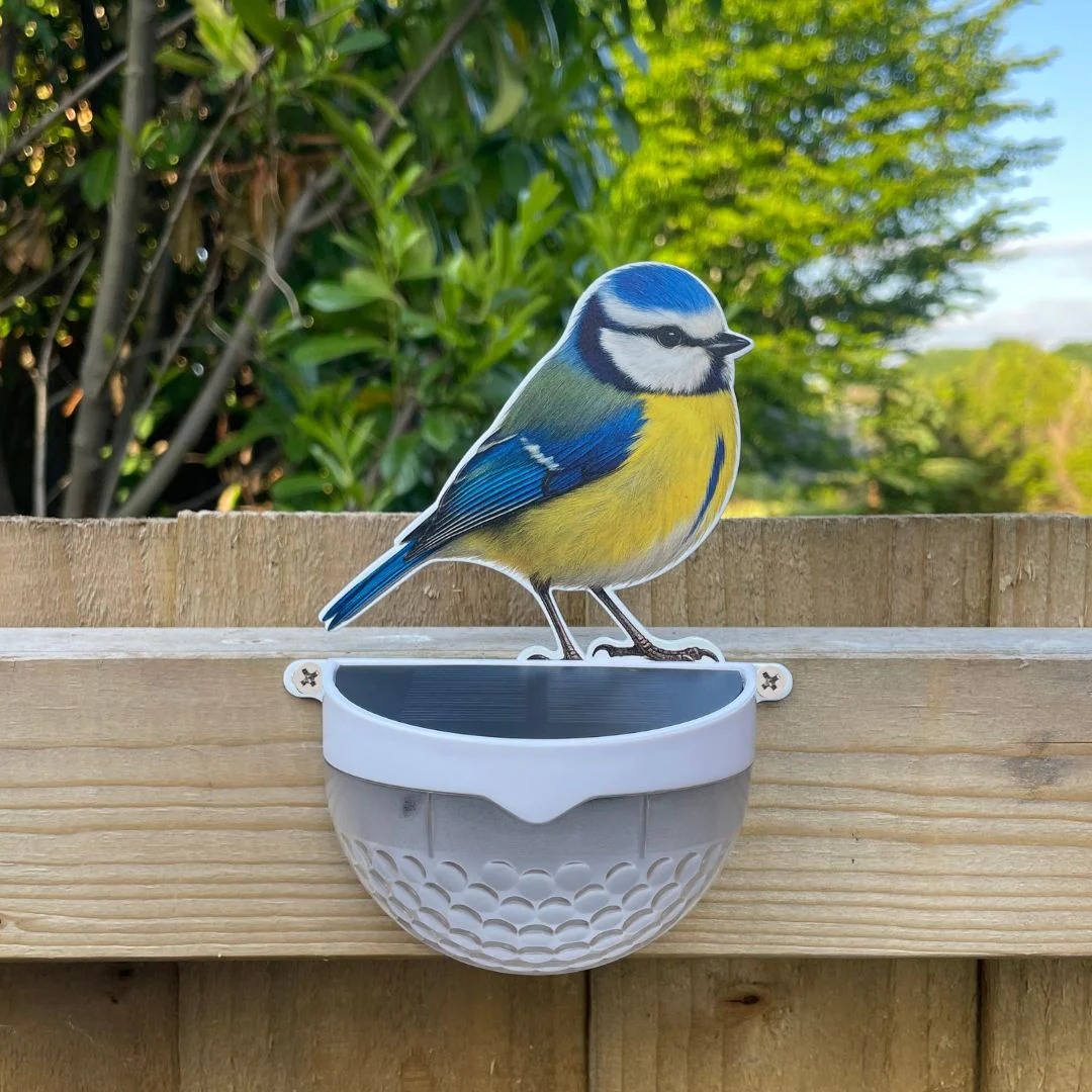 Real Blue Tit Solar Powered LED Light - Image 4