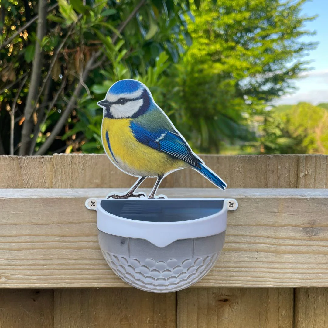 Real Blue Tit Solar Powered LED Light - Image 5