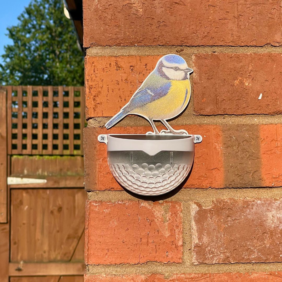 Real Blue Tit Solar Powered LED Light - Image 9