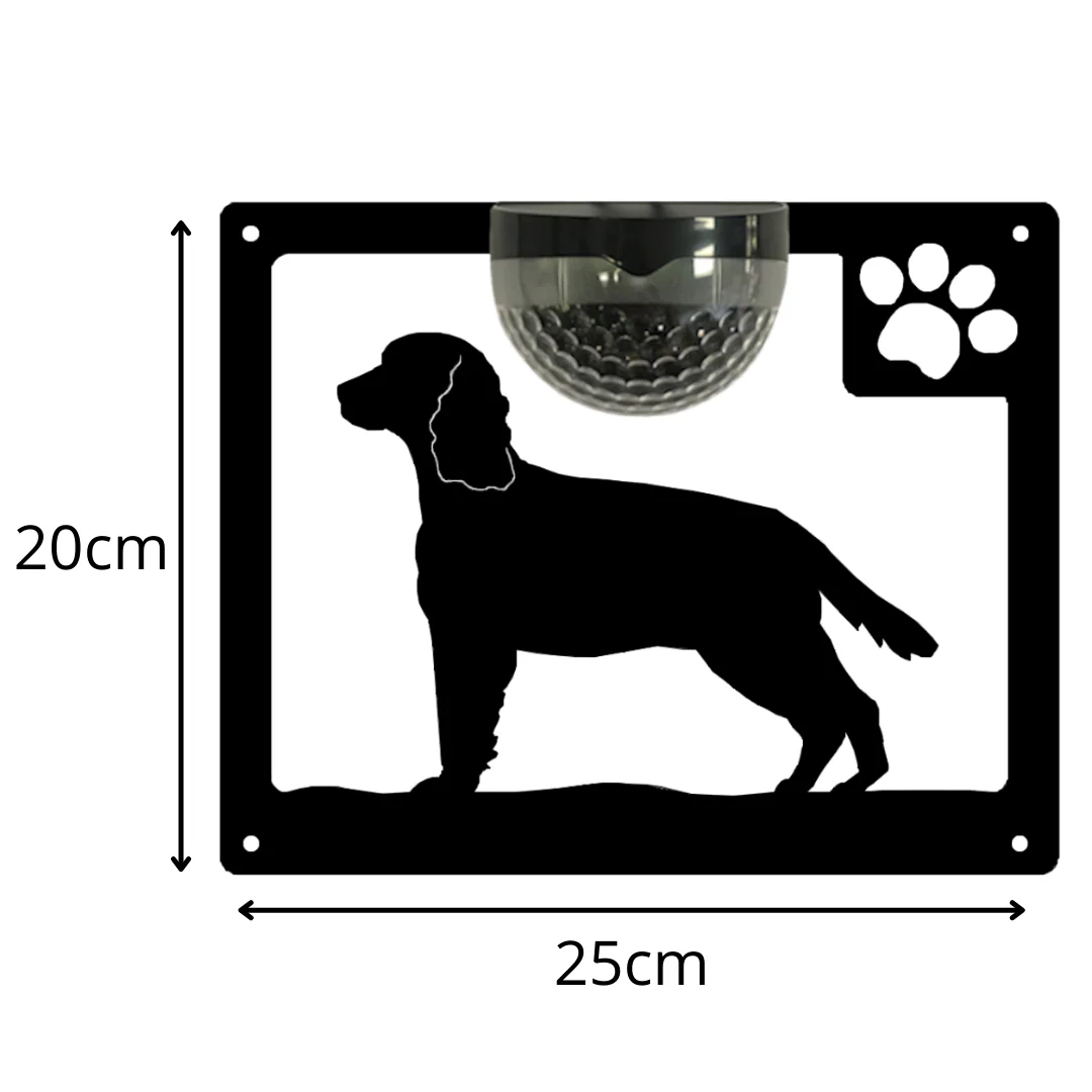 Springer Spaniel Dog Solar Light Wall Plaque - Image 10