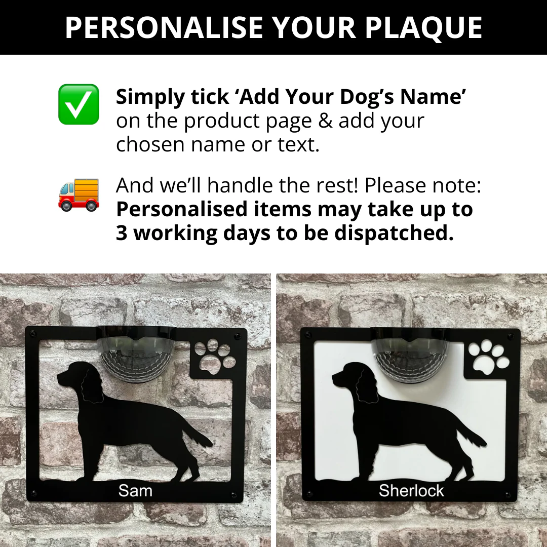 Springer Spaniel Dog Solar Light Wall Plaque - Image 5