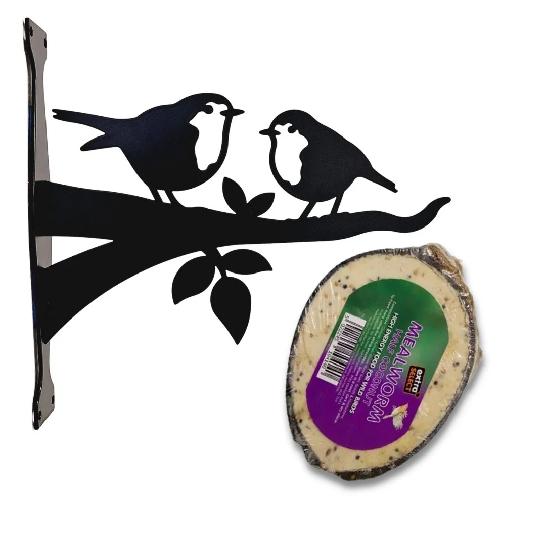Robin Bird Feeder Starter Kit - Limited Edition - Image 4