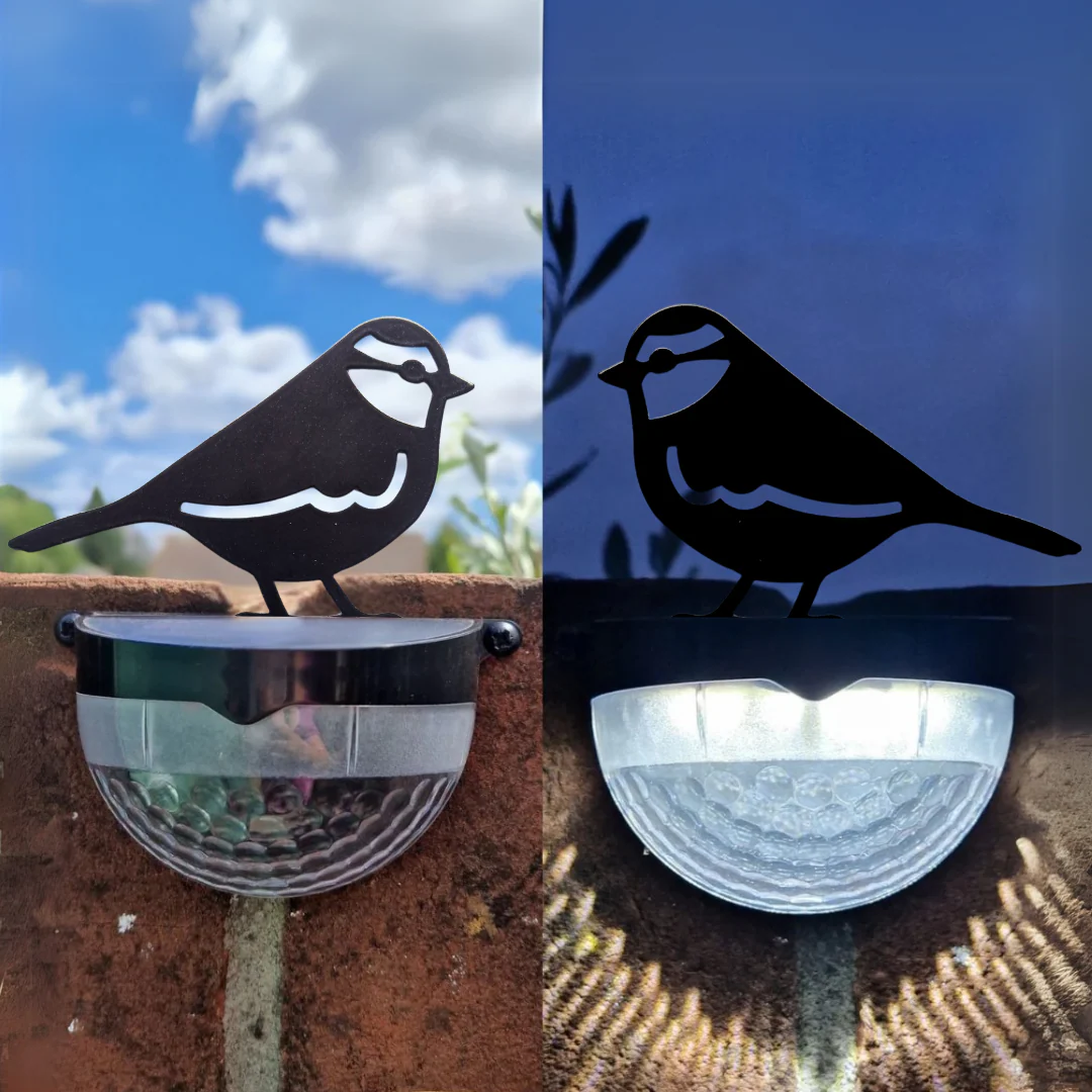 Set of 2 Blue Tit Solar Powered LED Lights - Image 3