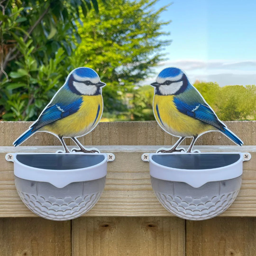 Set of 2 Real Blue Tit Solar Powered LED Lights