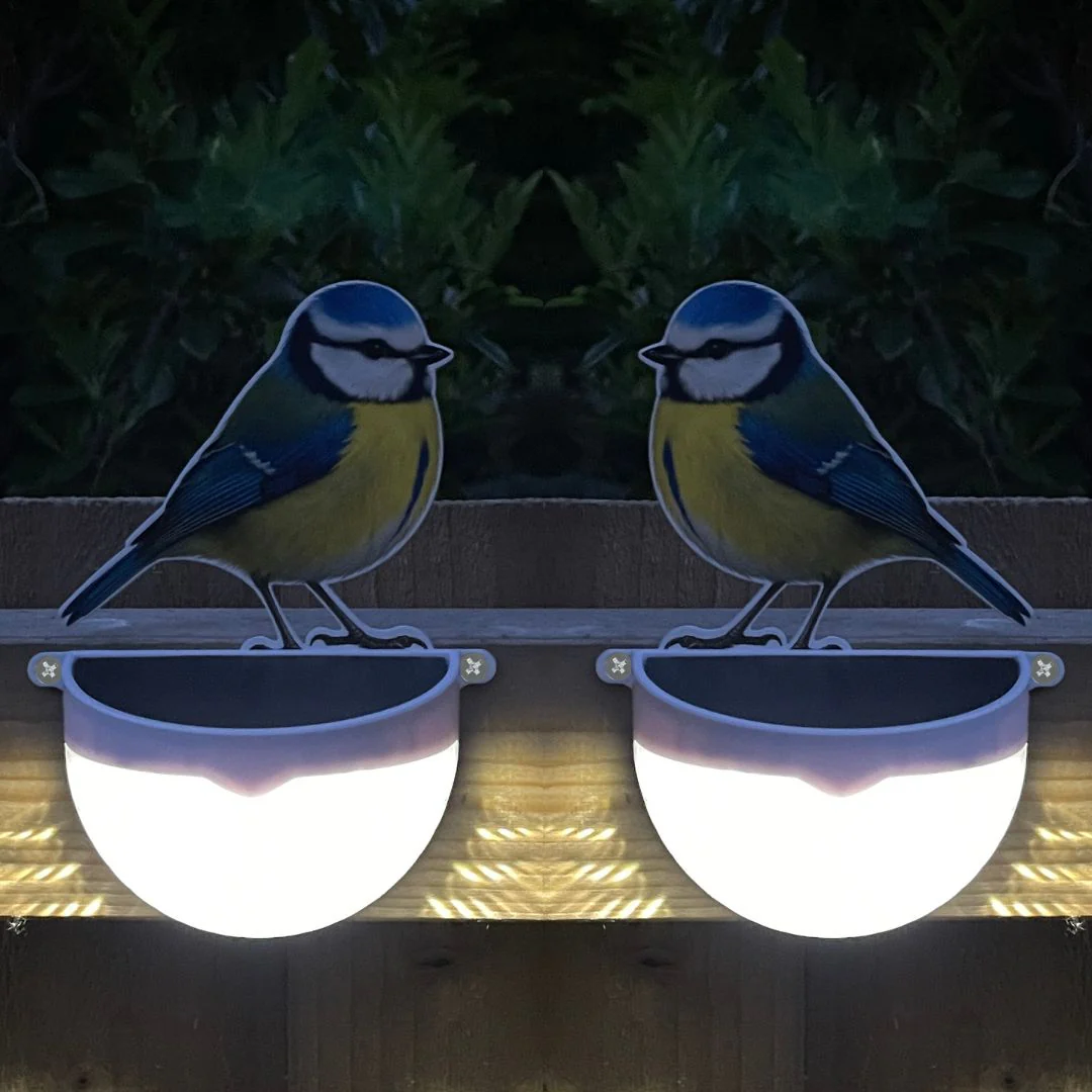 Set of 2 Real Blue Tit Solar Powered LED Lights - Image 2