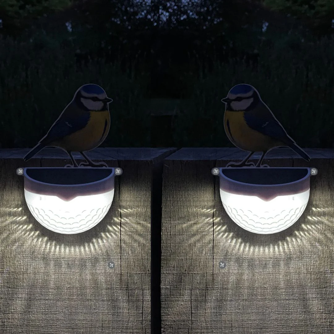 Set of 2 Real Blue Tit Solar Powered LED Lights - Image 4