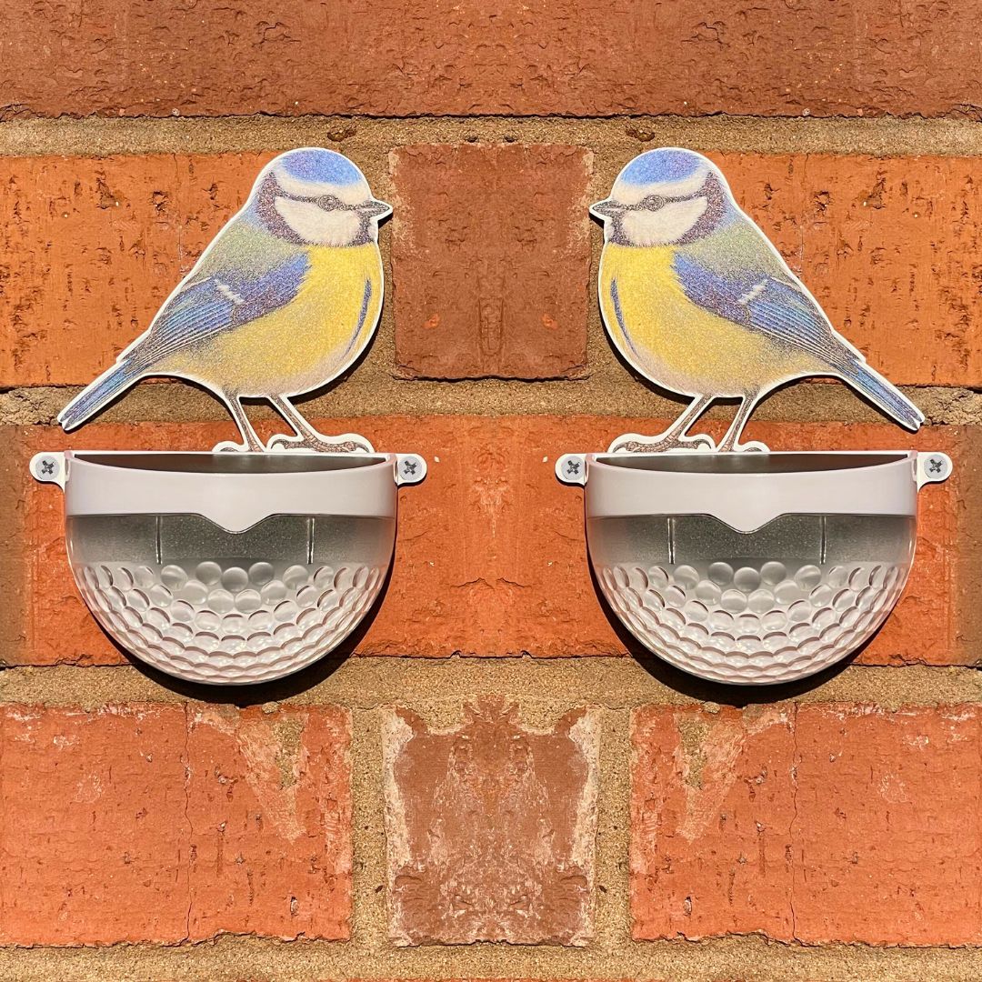 Set of 2 Real Blue Tit Solar Powered LED Lights - Image 8