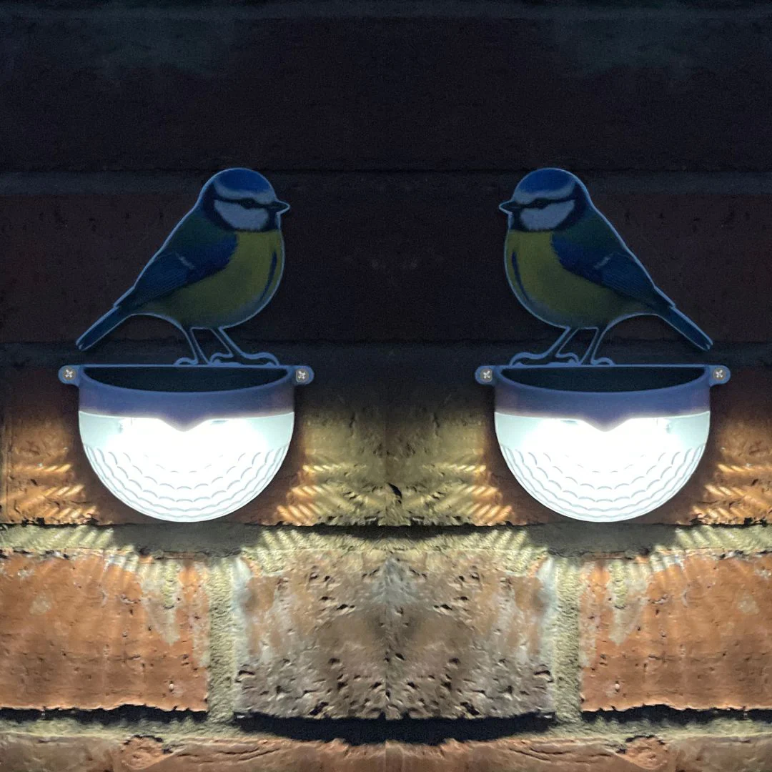 Set of 2 Real Blue Tit Solar Powered LED Lights - Image 9