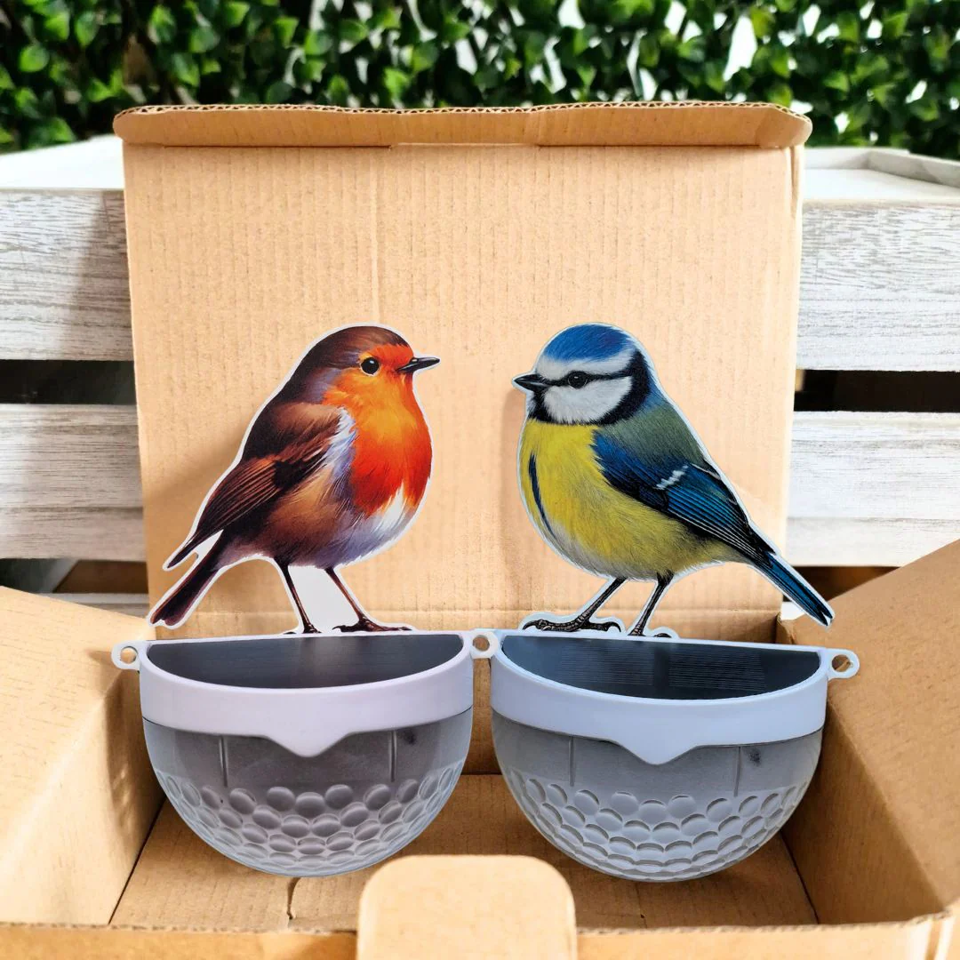 Set of 2 - Real Robin & Blue Tit Solar Powered LED Lights