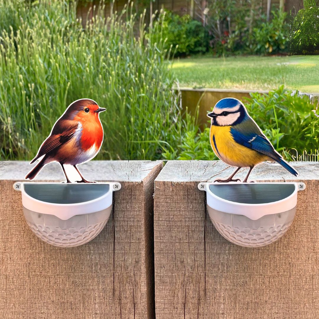 Set of 2 - Real Robin & Blue Tit Solar Powered LED Lights - Image 2