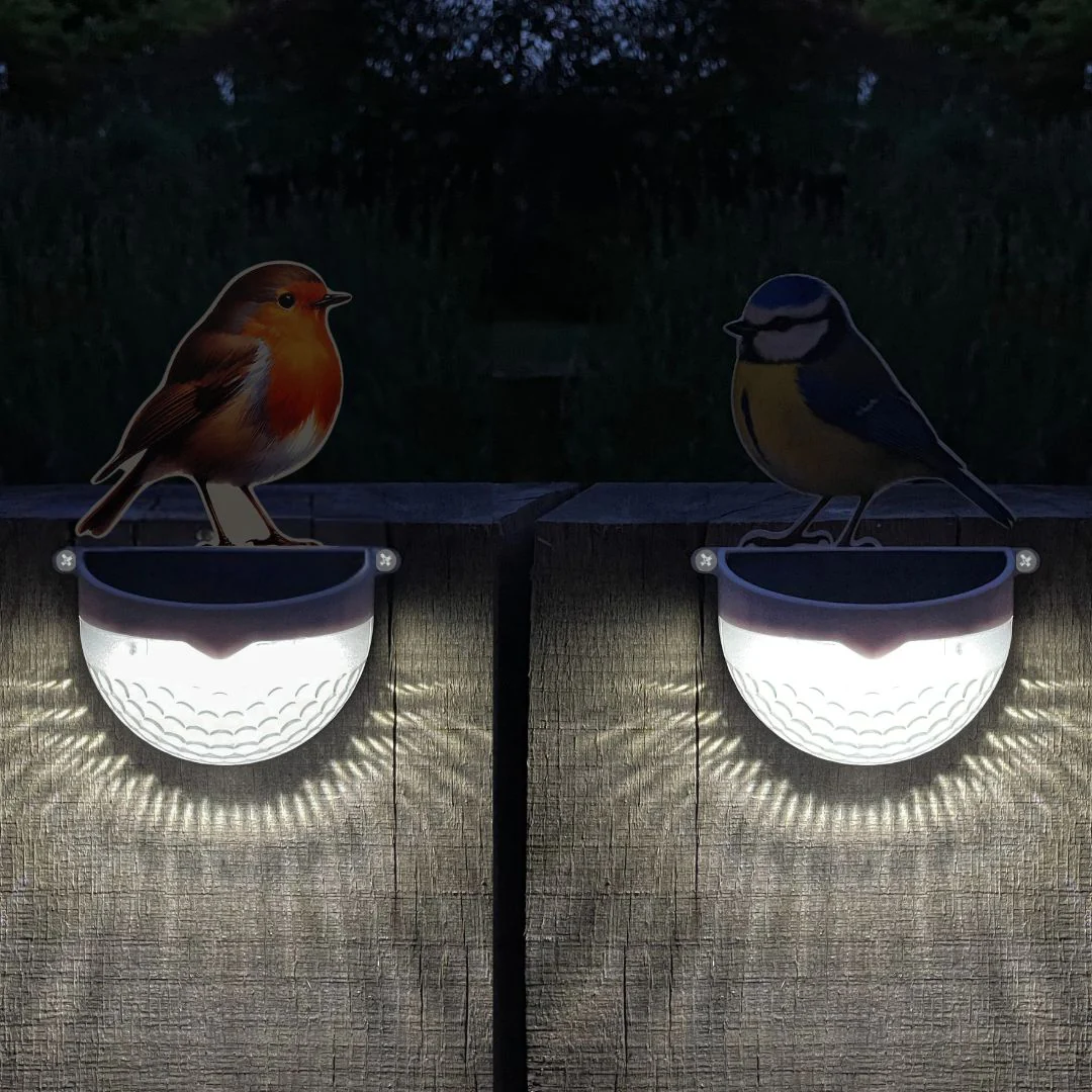 Set of 2 - Real Robin & Blue Tit Solar Powered LED Lights - Image 3
