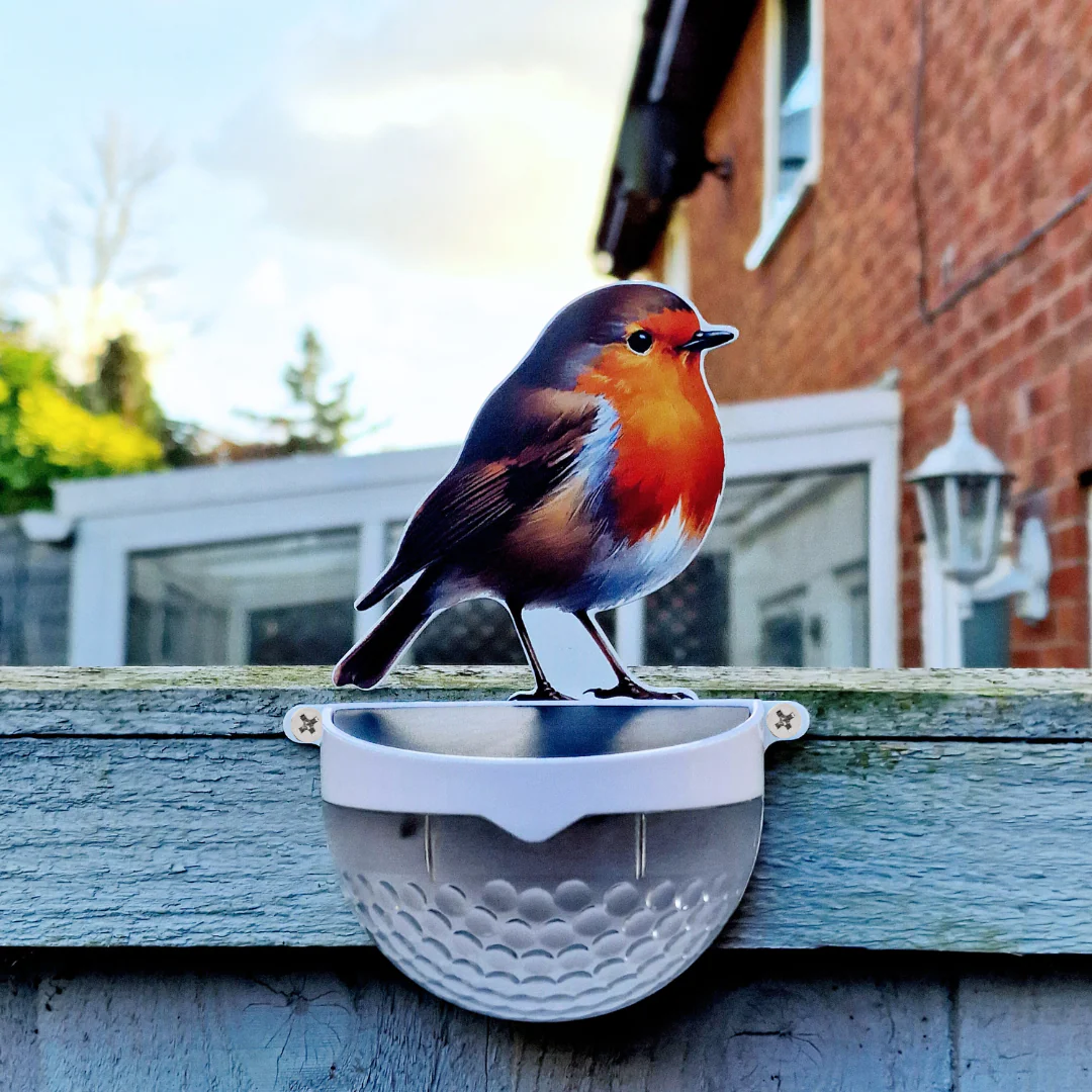 Real Robin Solar Powered LED Light - Image 8