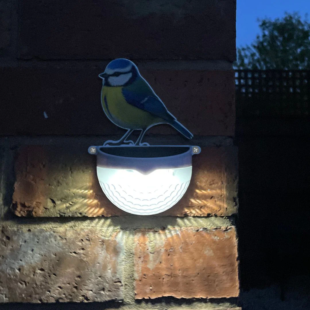 Set of 2 - Real Robin & Blue Tit Solar Powered LED Lights - Image 8