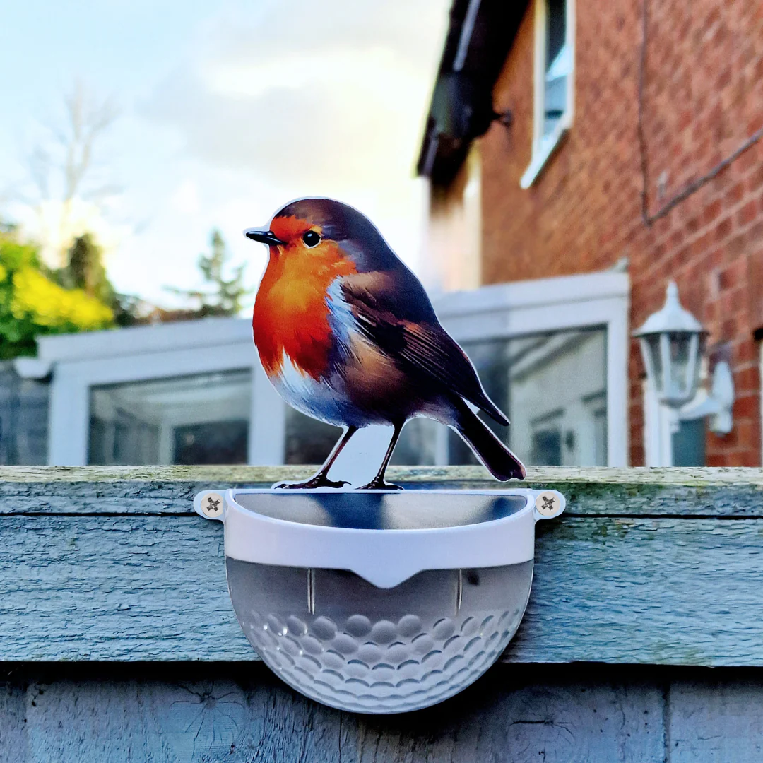 Real Robin Solar Powered LED Light - Image 13