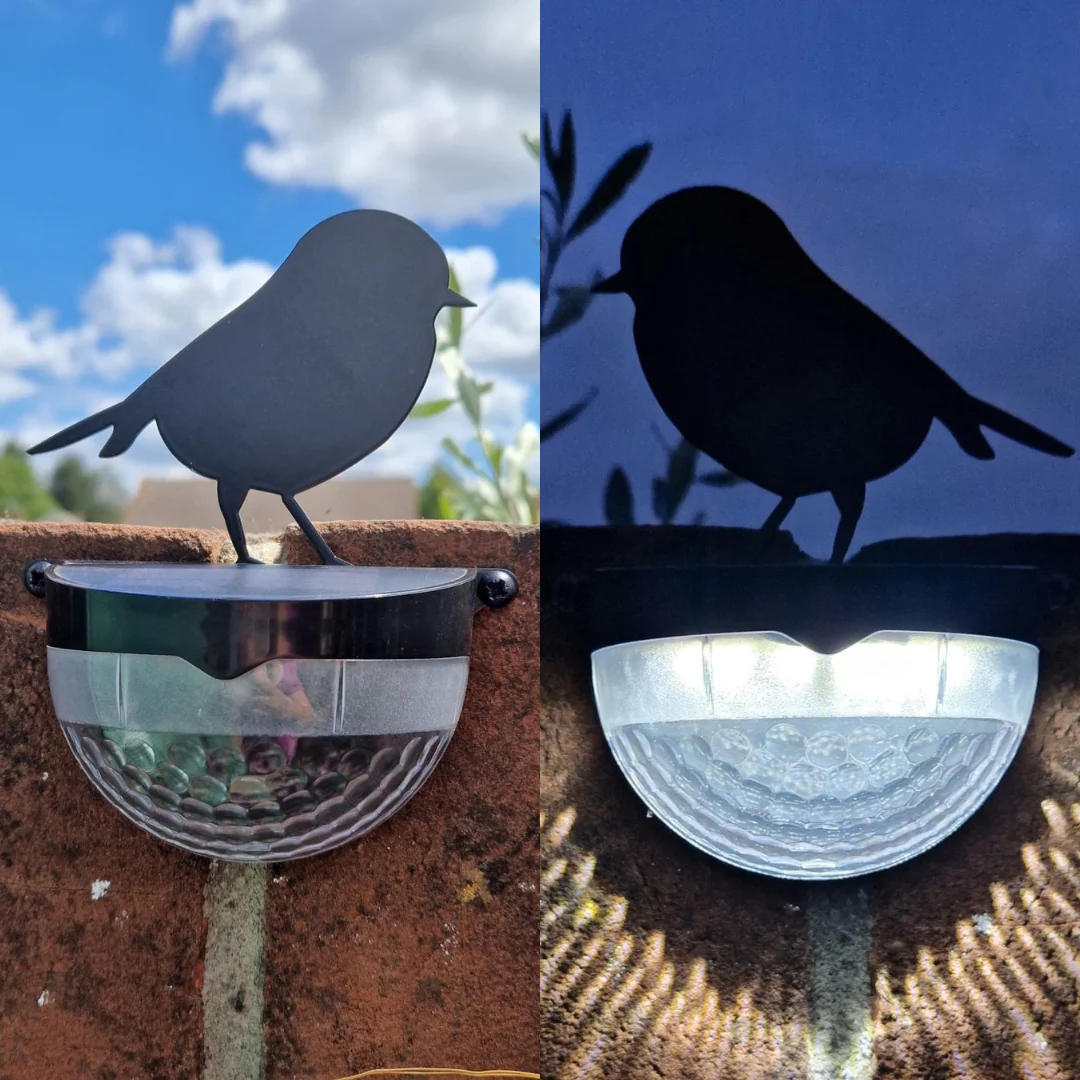 Set of 2 Robin Solar Powered LED Lights - Image 3