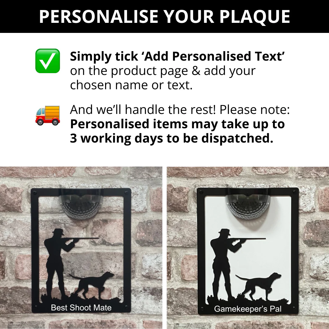 Shooter Solar Light Wall Plaque - Image 6
