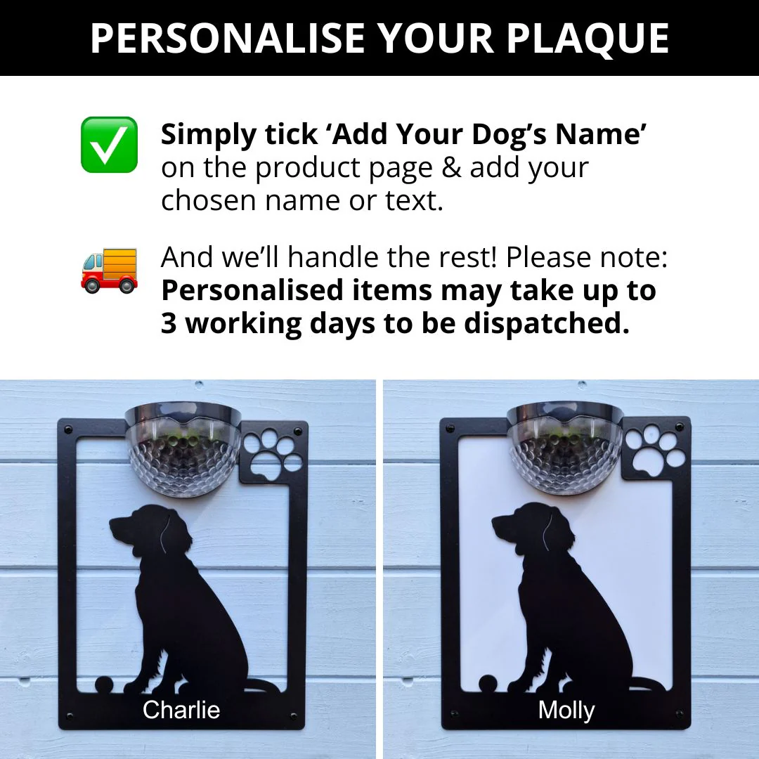 Springer Spaniel with ball Dog Solar Light Wall Plaque - Image 5