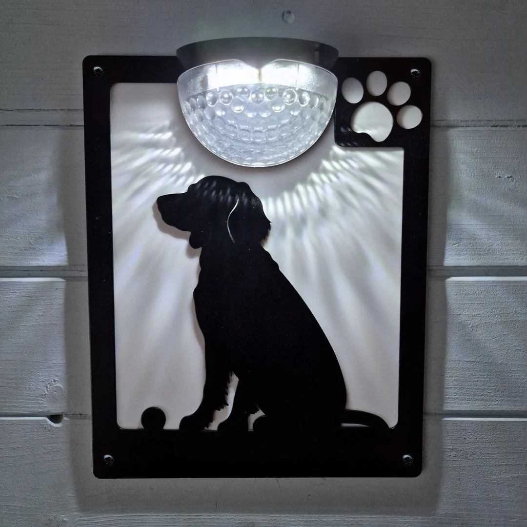 Springer Spaniel with ball Dog Solar Light Wall Plaque - Image 7