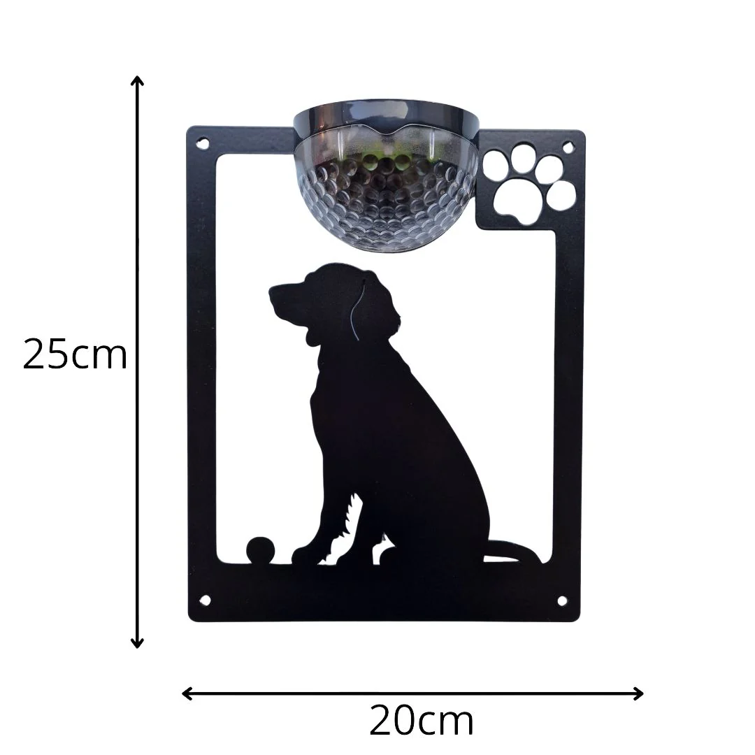 Springer Spaniel with ball Dog Solar Light Wall Plaque - Image 8